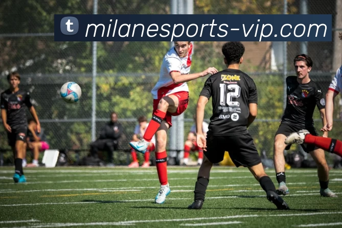 米兰电竞VIP平台生态图