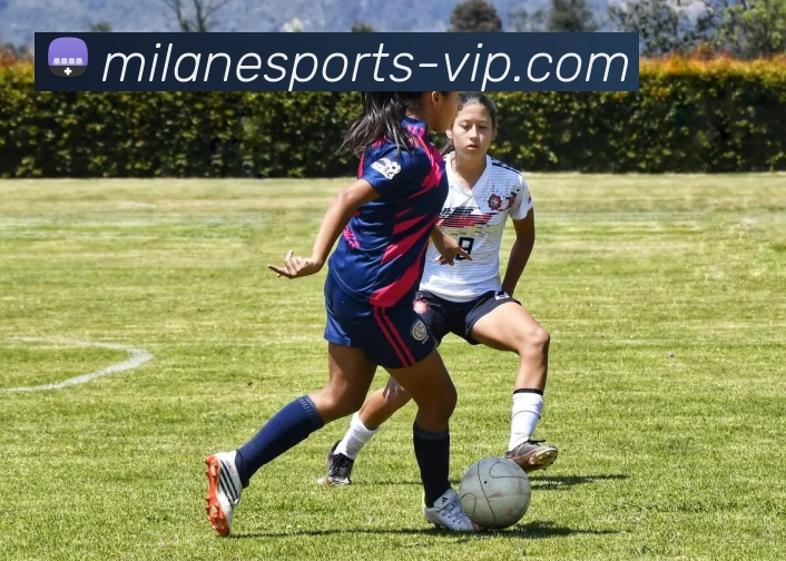 米兰电竞VIPAPP 封面图